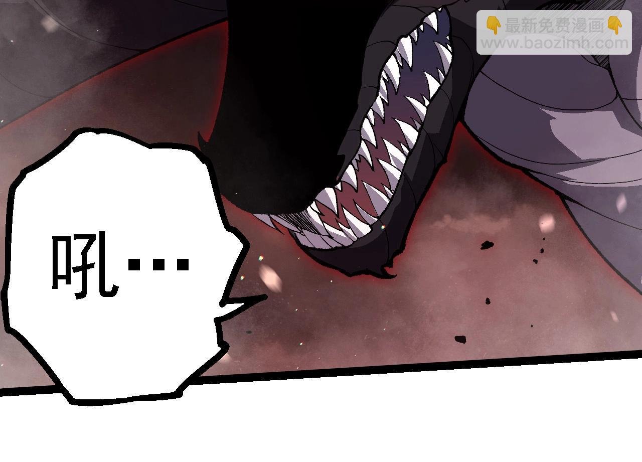 第228话 新的帮手？