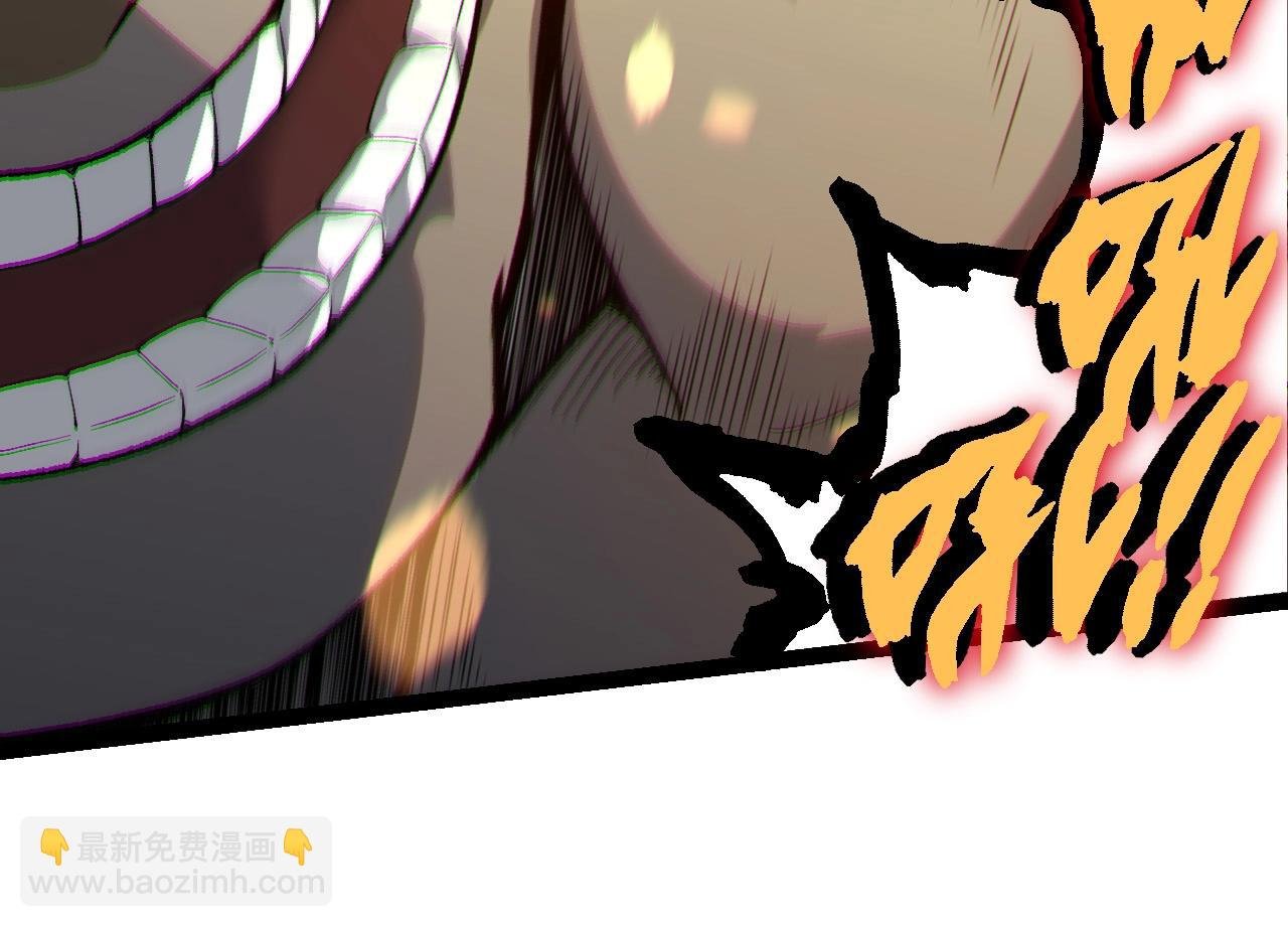 第228话 新的帮手？