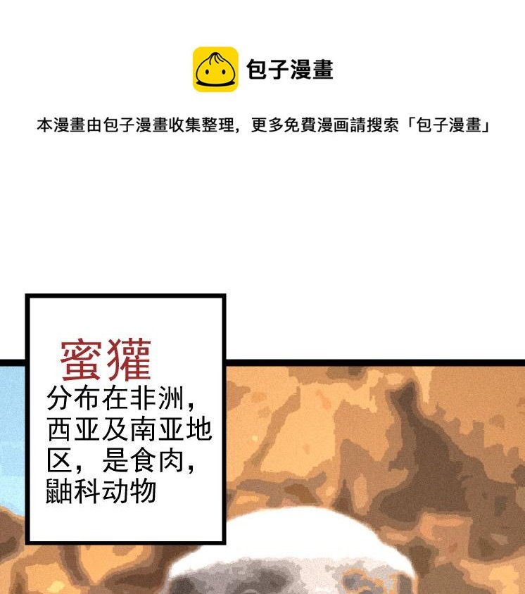 第26话 大树出现