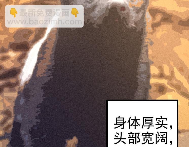 第26话 大树出现