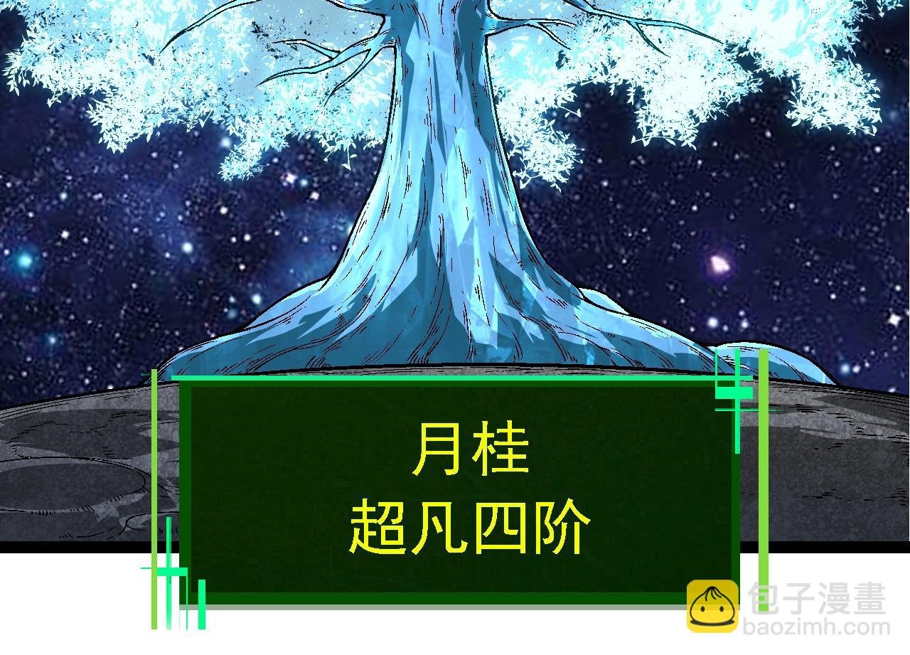 第251话 锋芒