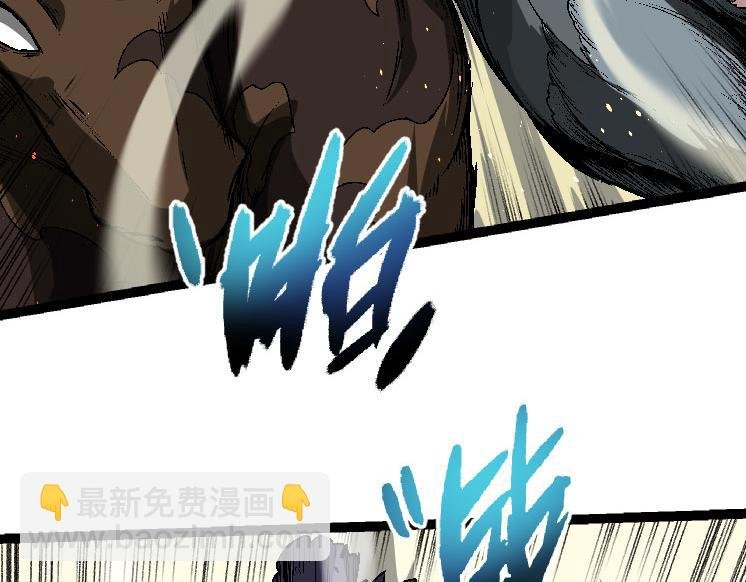 第28话 全新进化