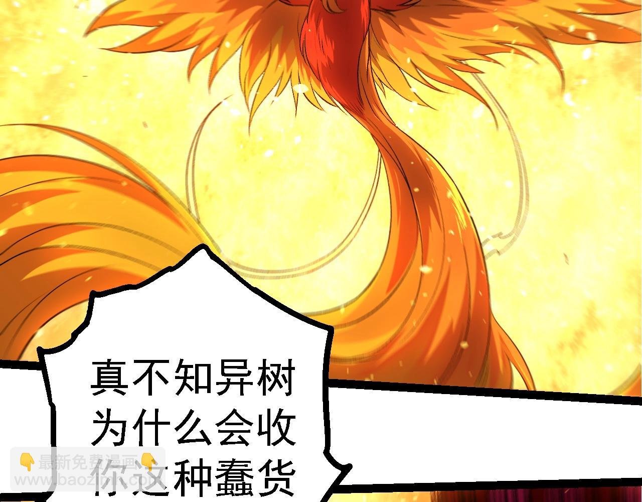 第259话 凤凰朝拜