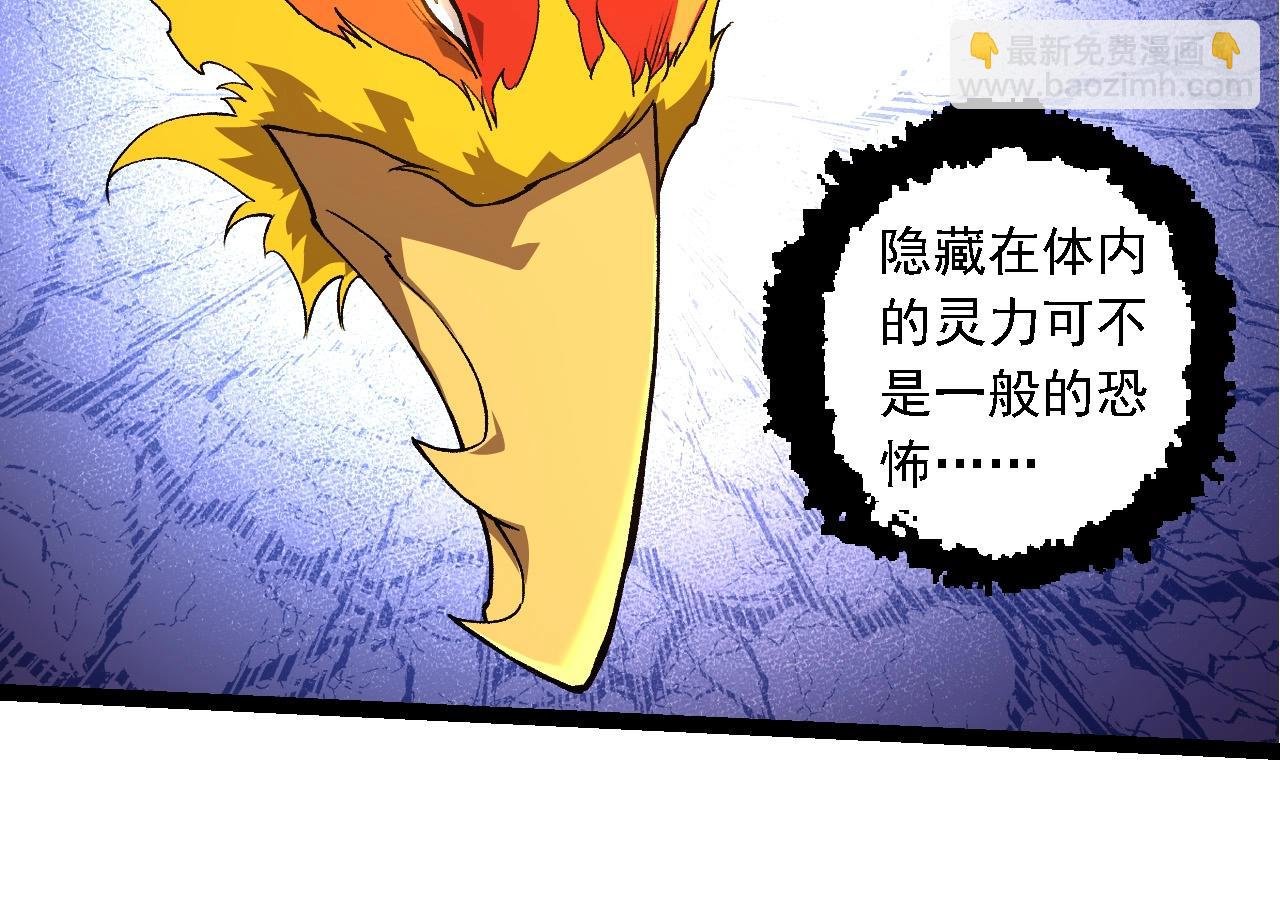 第259话 凤凰朝拜