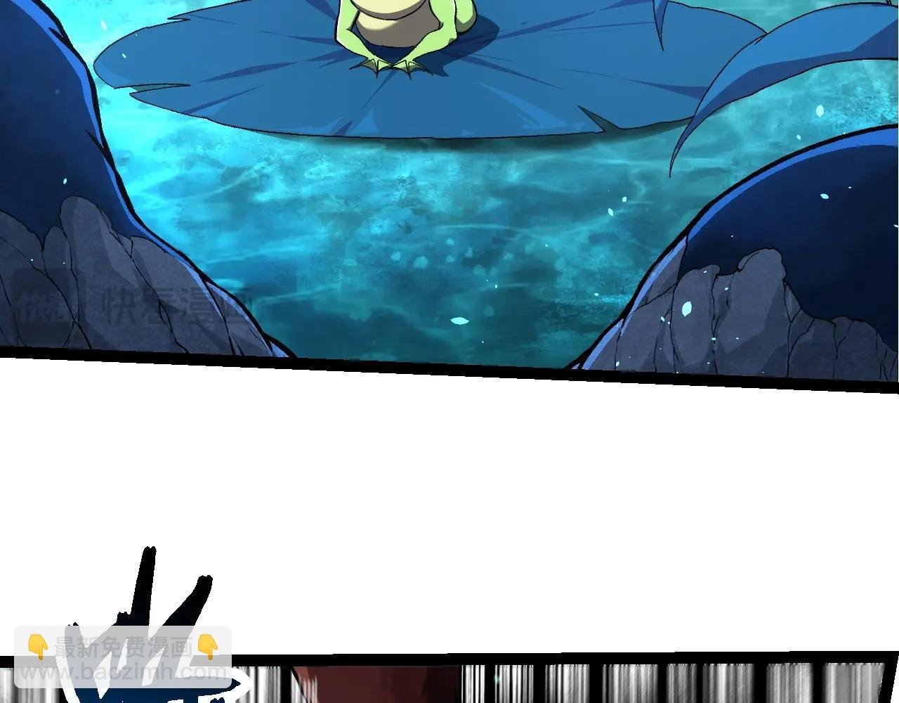 第284话 德鲁伊