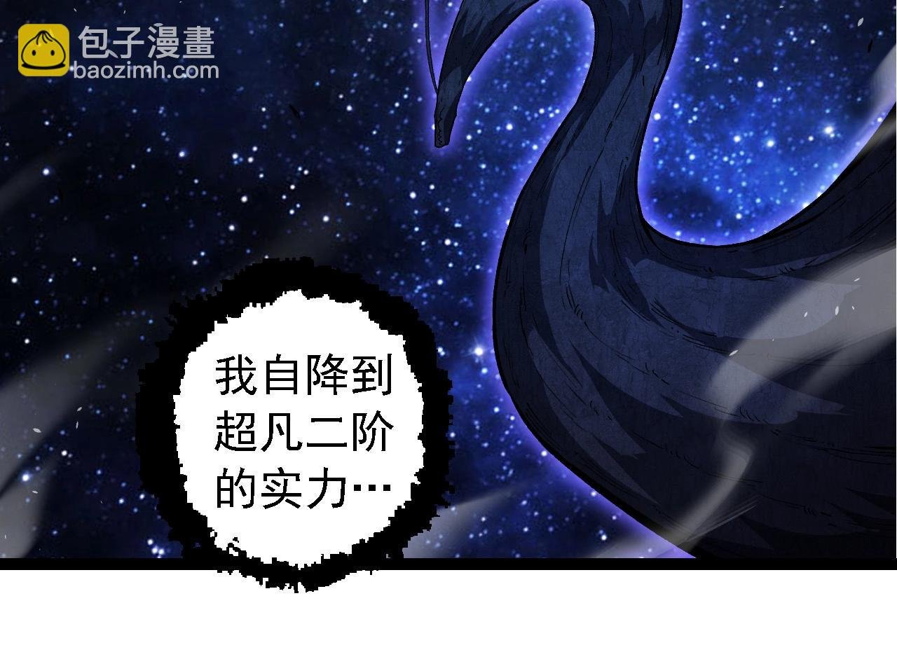 第284话 德鲁伊