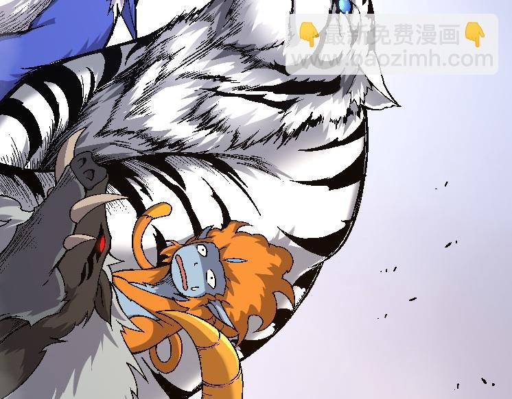 第33话 最强之间的对决