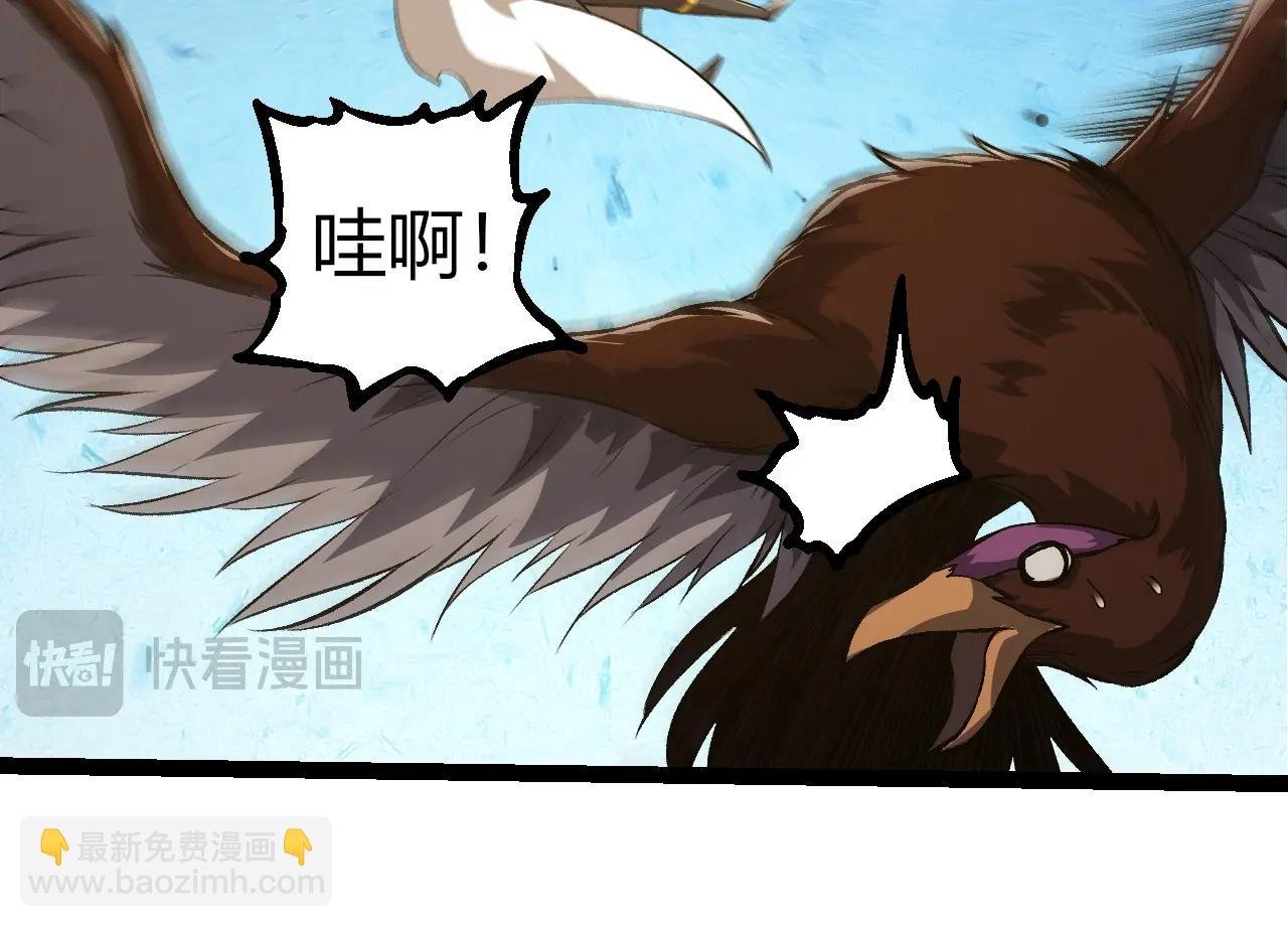 第330话 一级保护动物