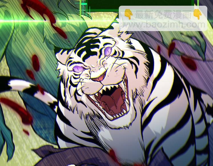 第41话 无数的进化点