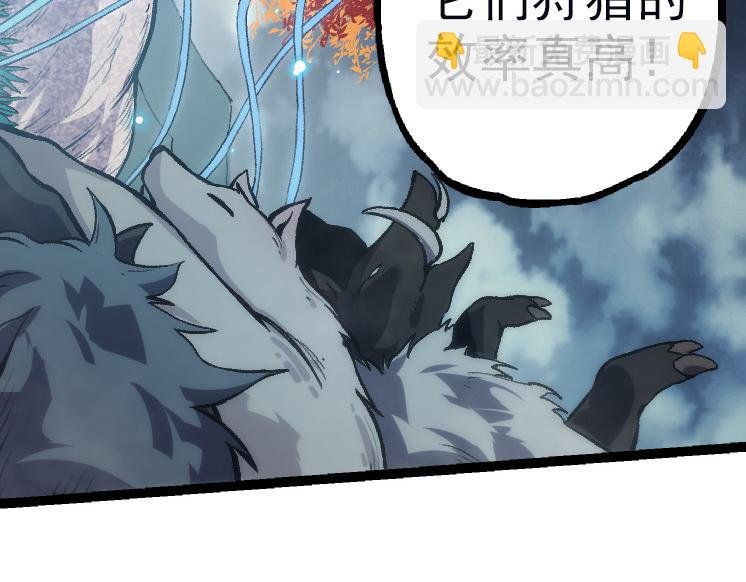 第41话 无数的进化点