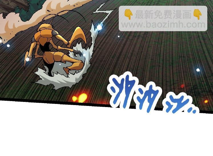 第42话 全力输出的力量
