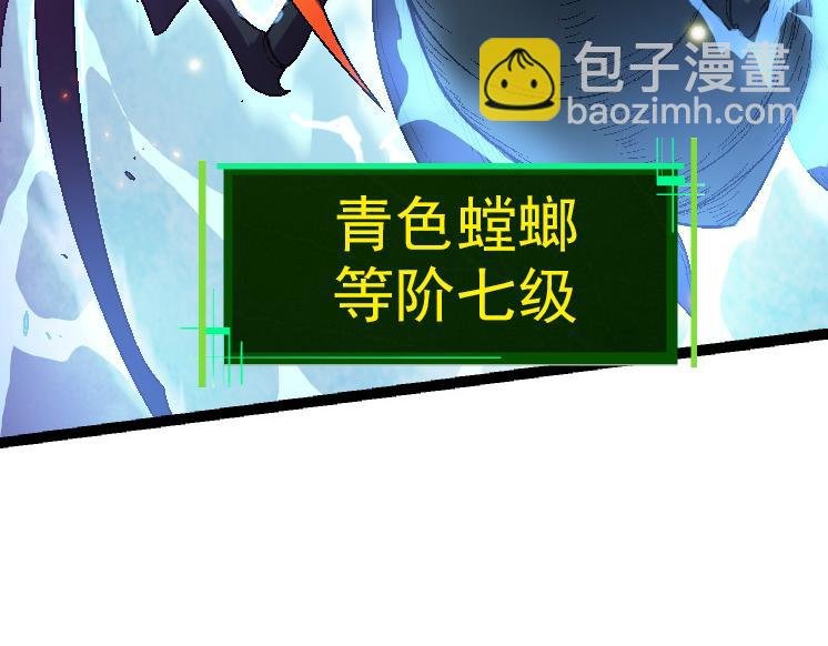 第42话 全力输出的力量