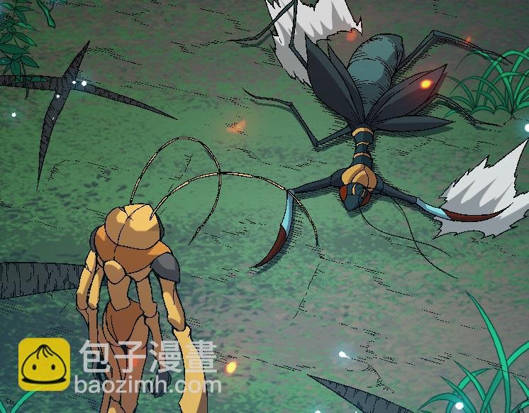 第42话 全力输出的力量