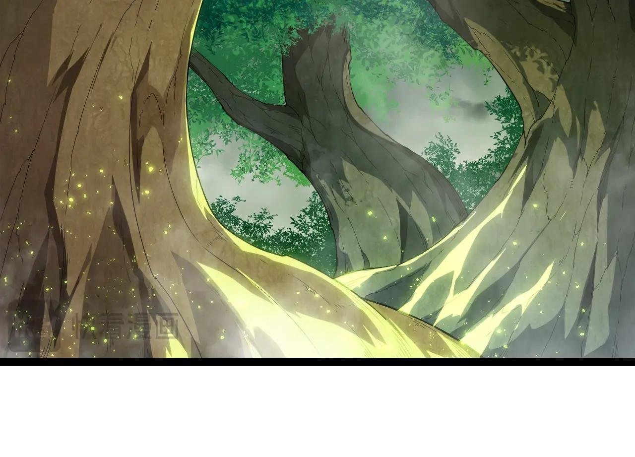 第406话 世界之灵