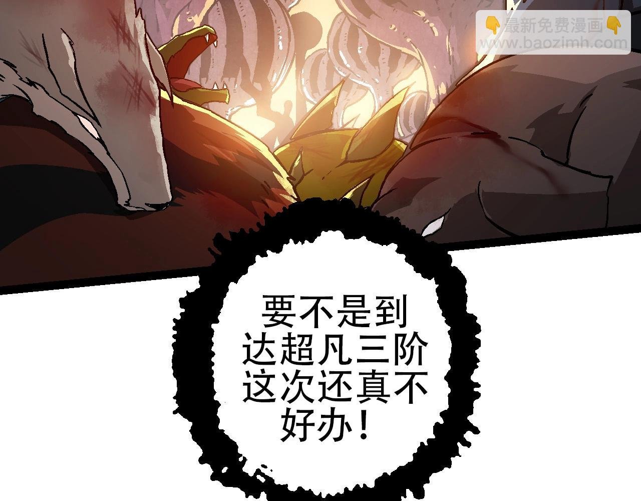 第74话 峡谷中的巨大树影