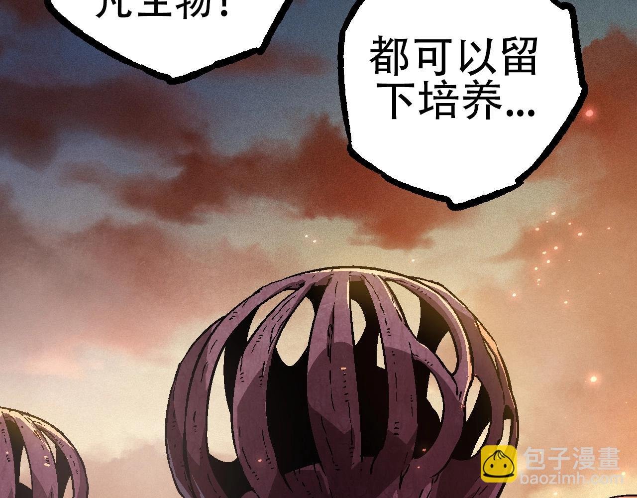 第74话 峡谷中的巨大树影