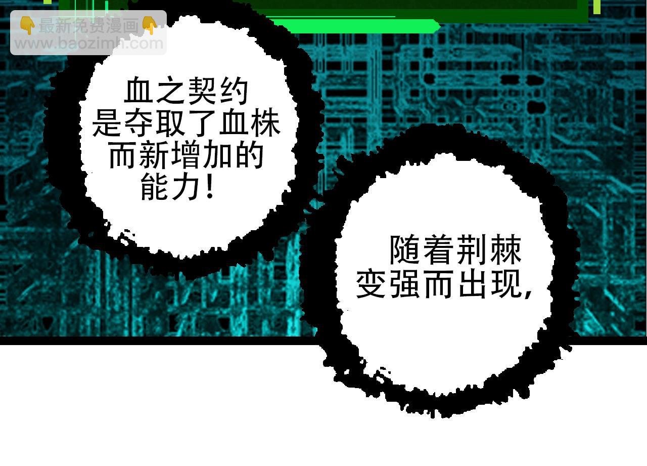 第84话 狩猎开始！熊猫的首秀