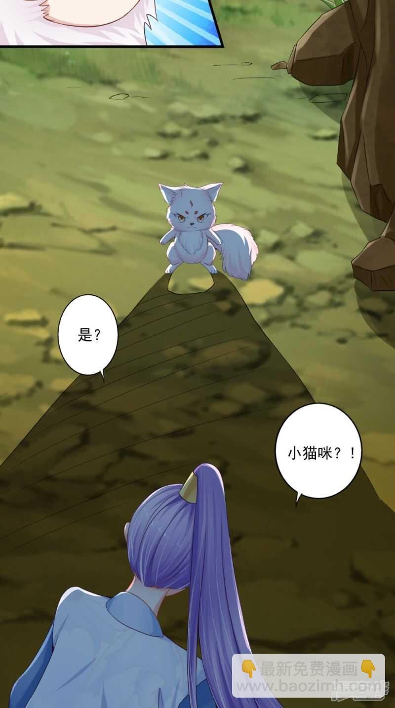 第65话 猫咪变狐狸