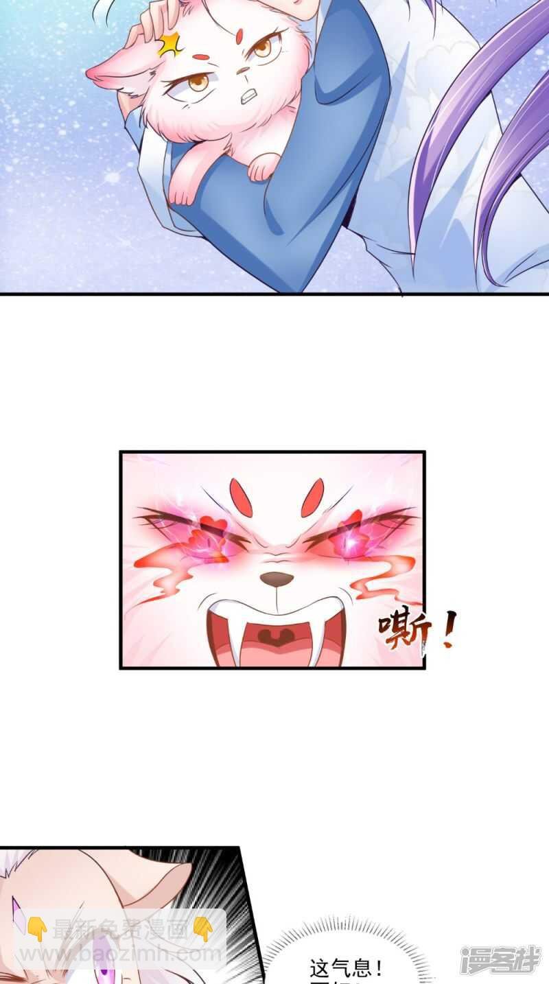 第65话 猫咪变狐狸
