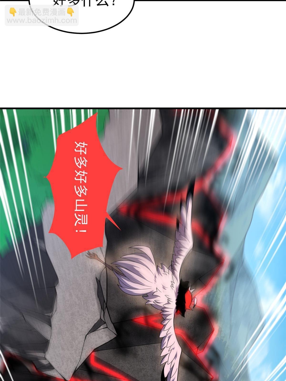 112 木孔雀