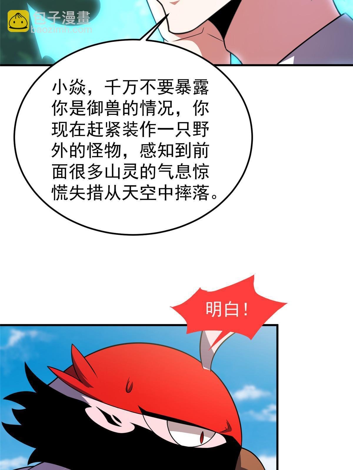 112 木孔雀