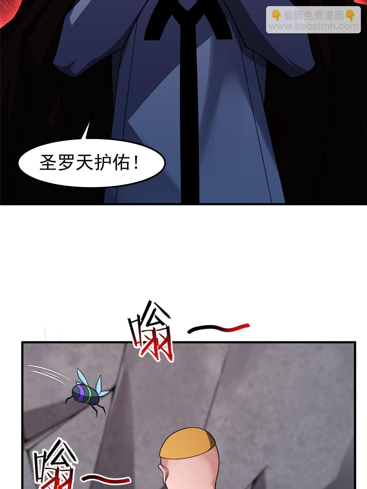 112 木孔雀