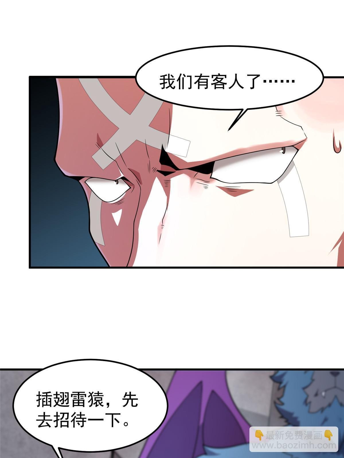 112 木孔雀