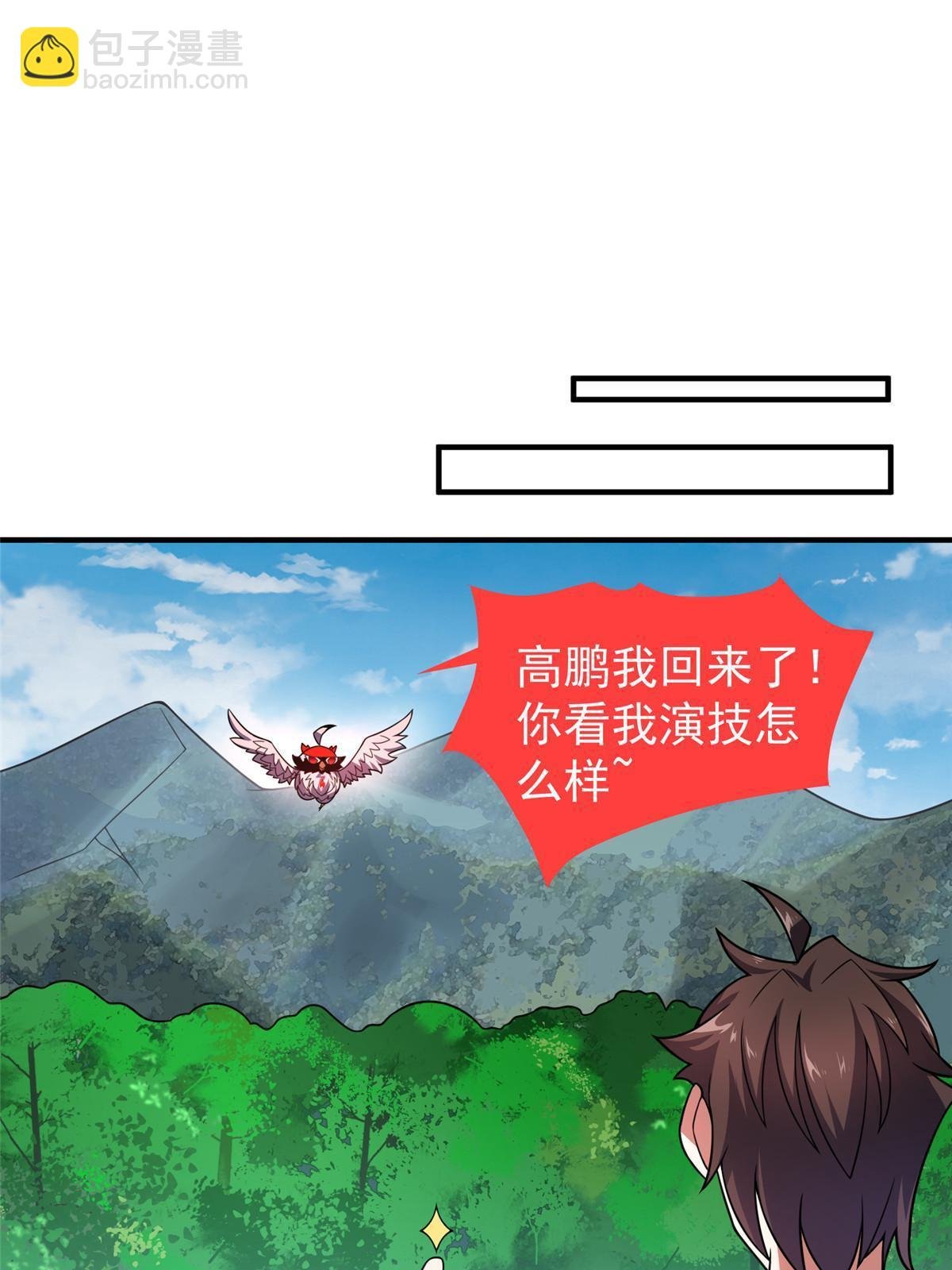 112 木孔雀