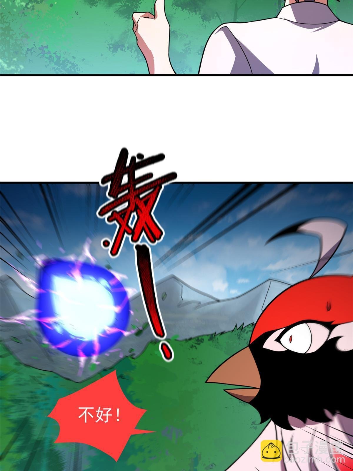 112 木孔雀