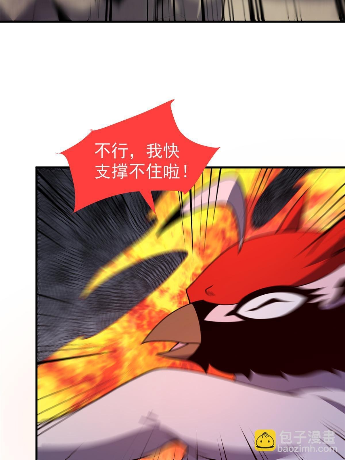 112 木孔雀