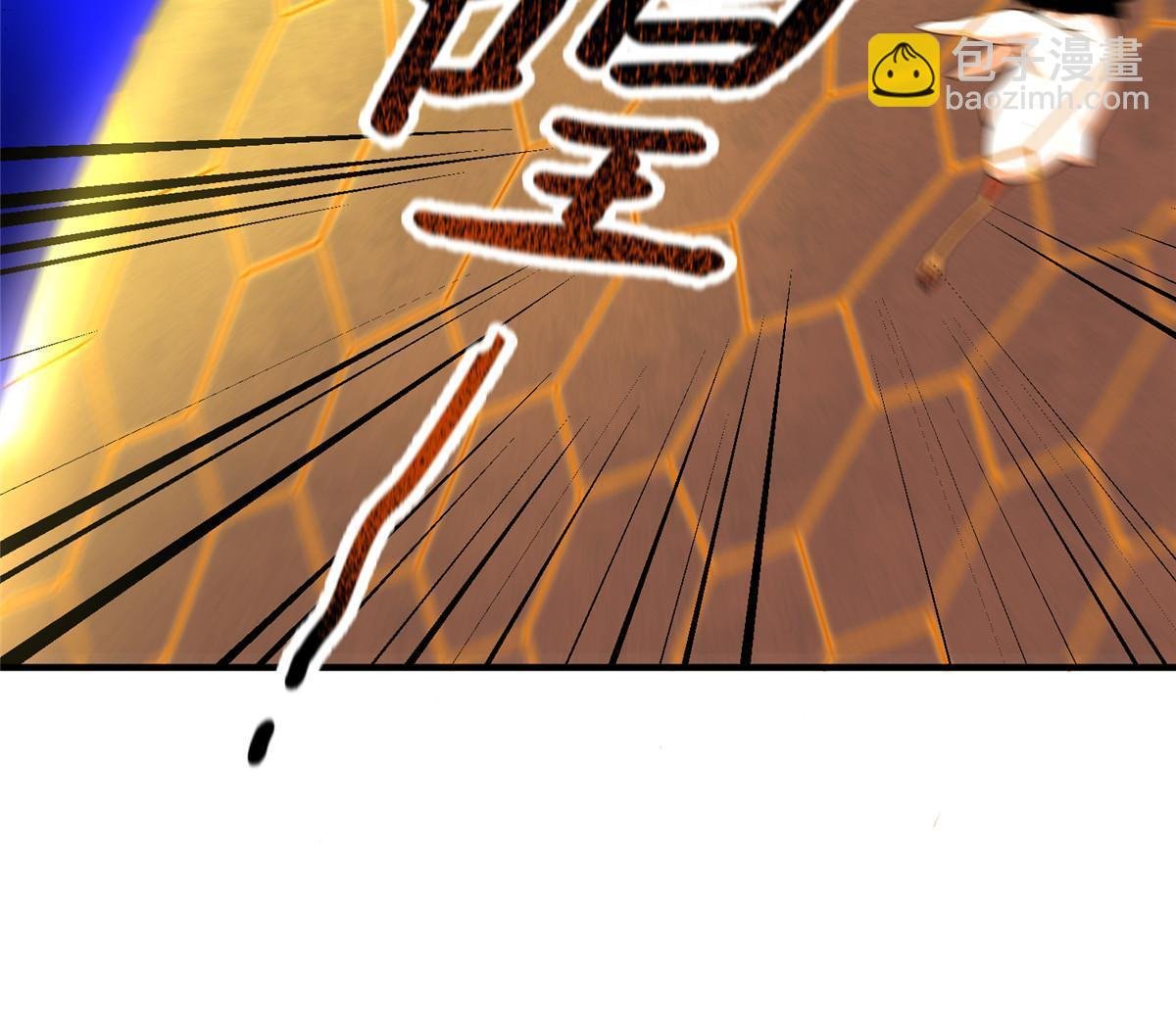 112 木孔雀