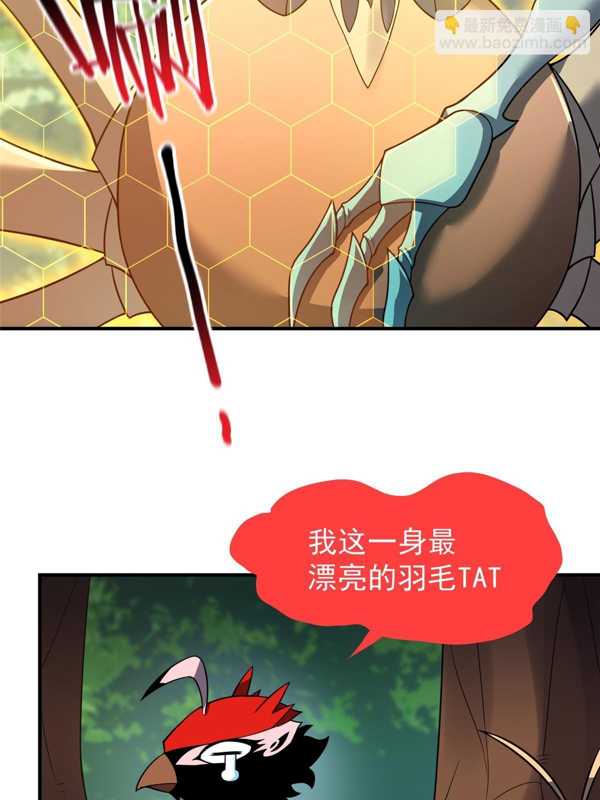112 木孔雀