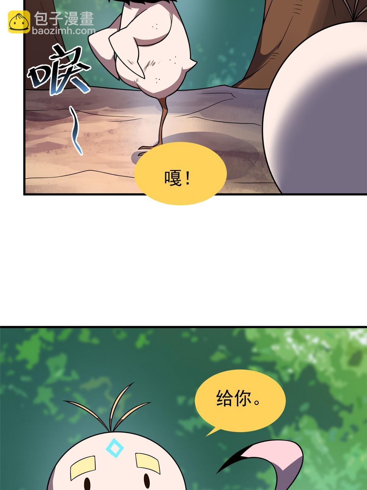 112 木孔雀