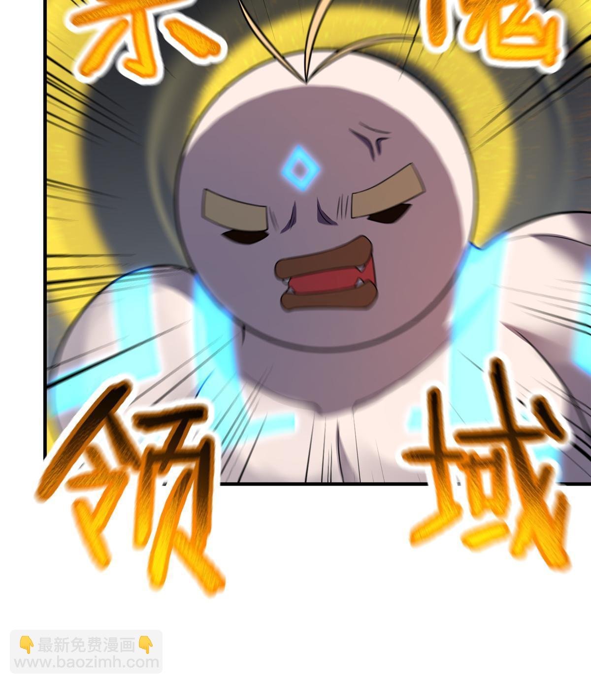 112 木孔雀