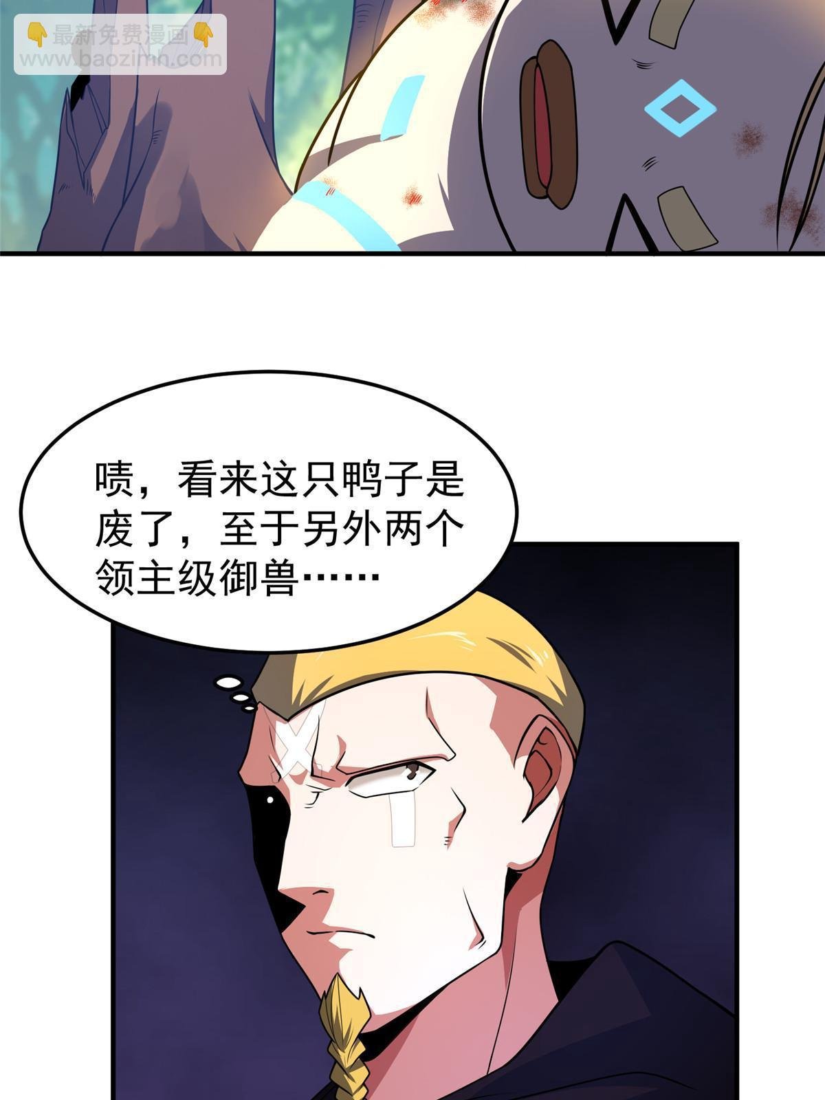 112 木孔雀