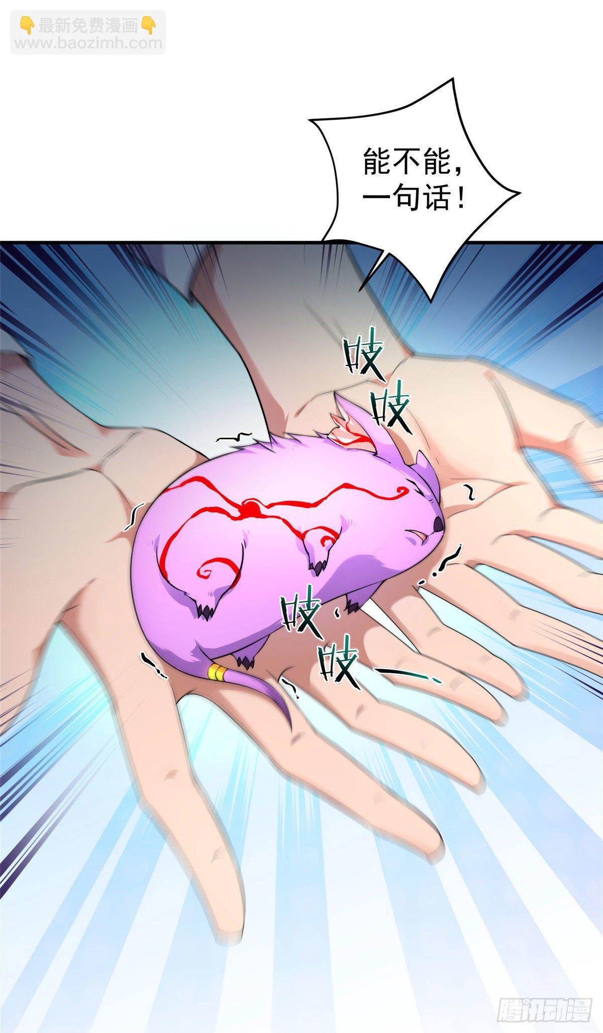011 紫电血鼠