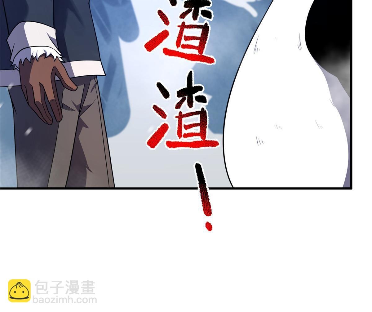 152 怪力黄眉企鹅