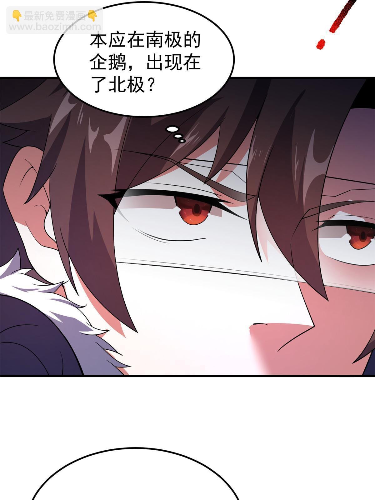 152 怪力黄眉企鹅