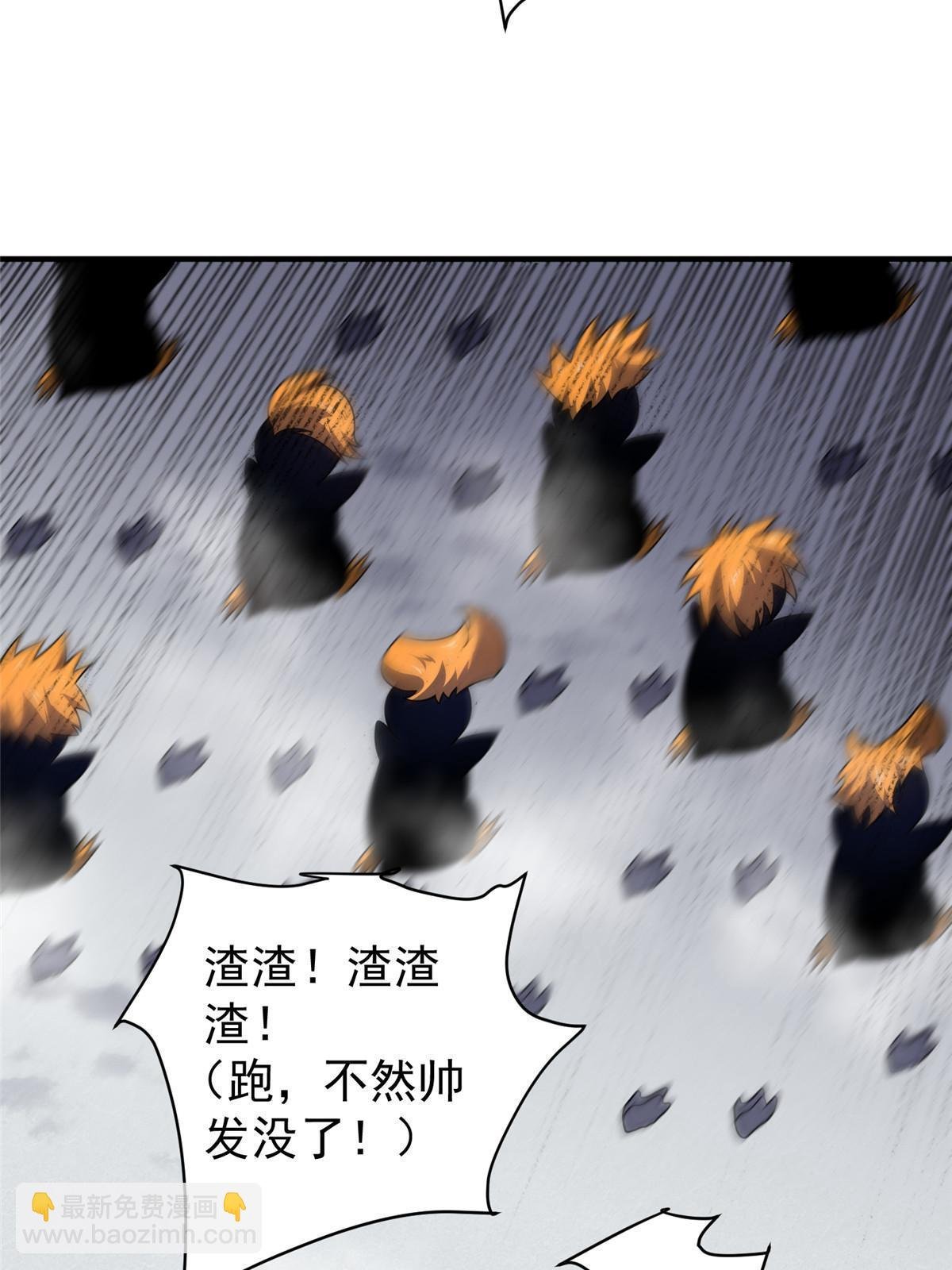 152 怪力黄眉企鹅