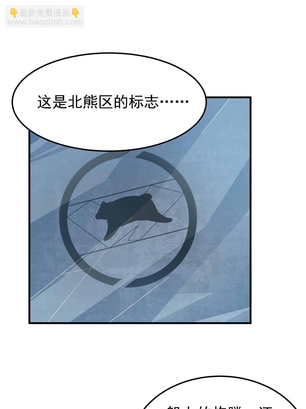152 怪力黄眉企鹅