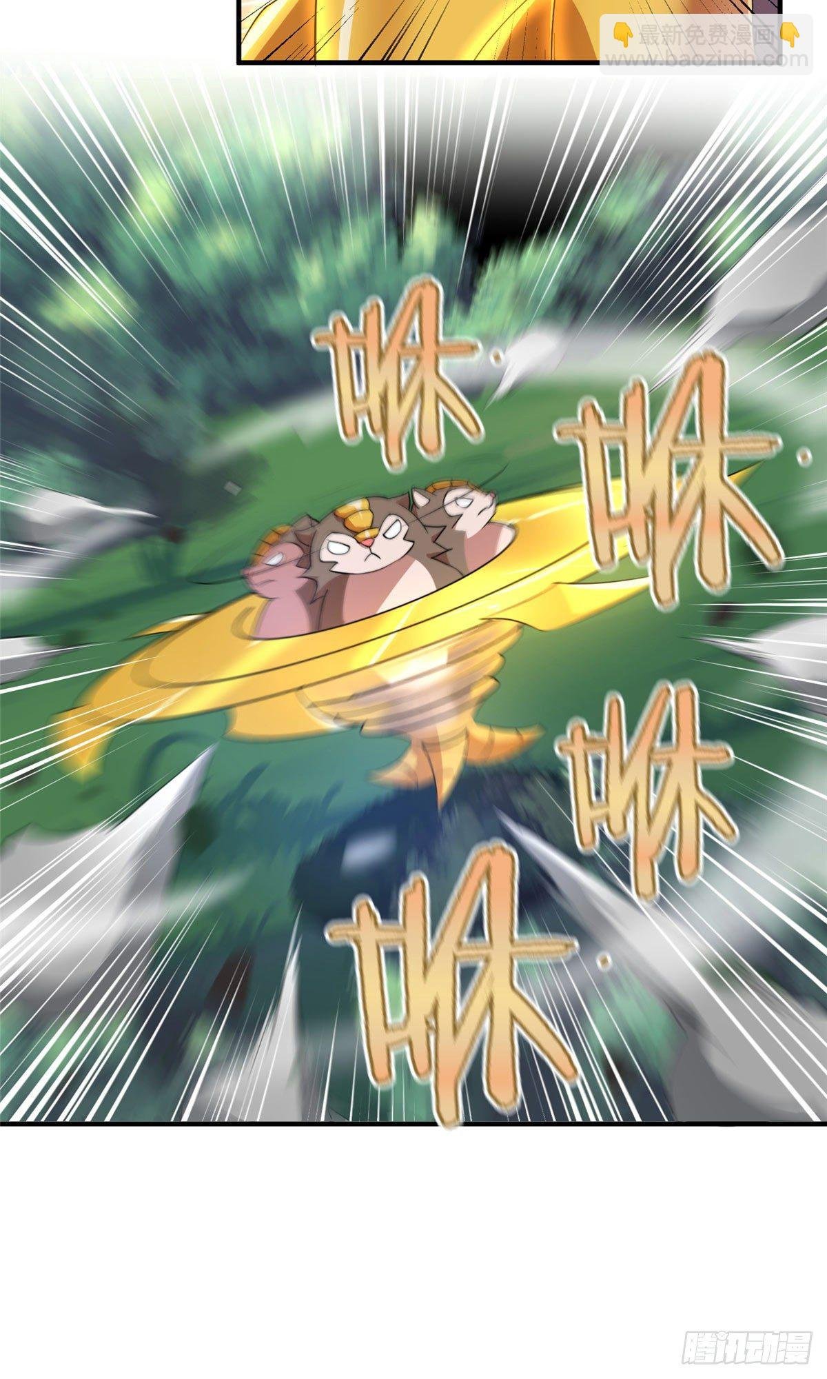 017 恐怖残暴蛛