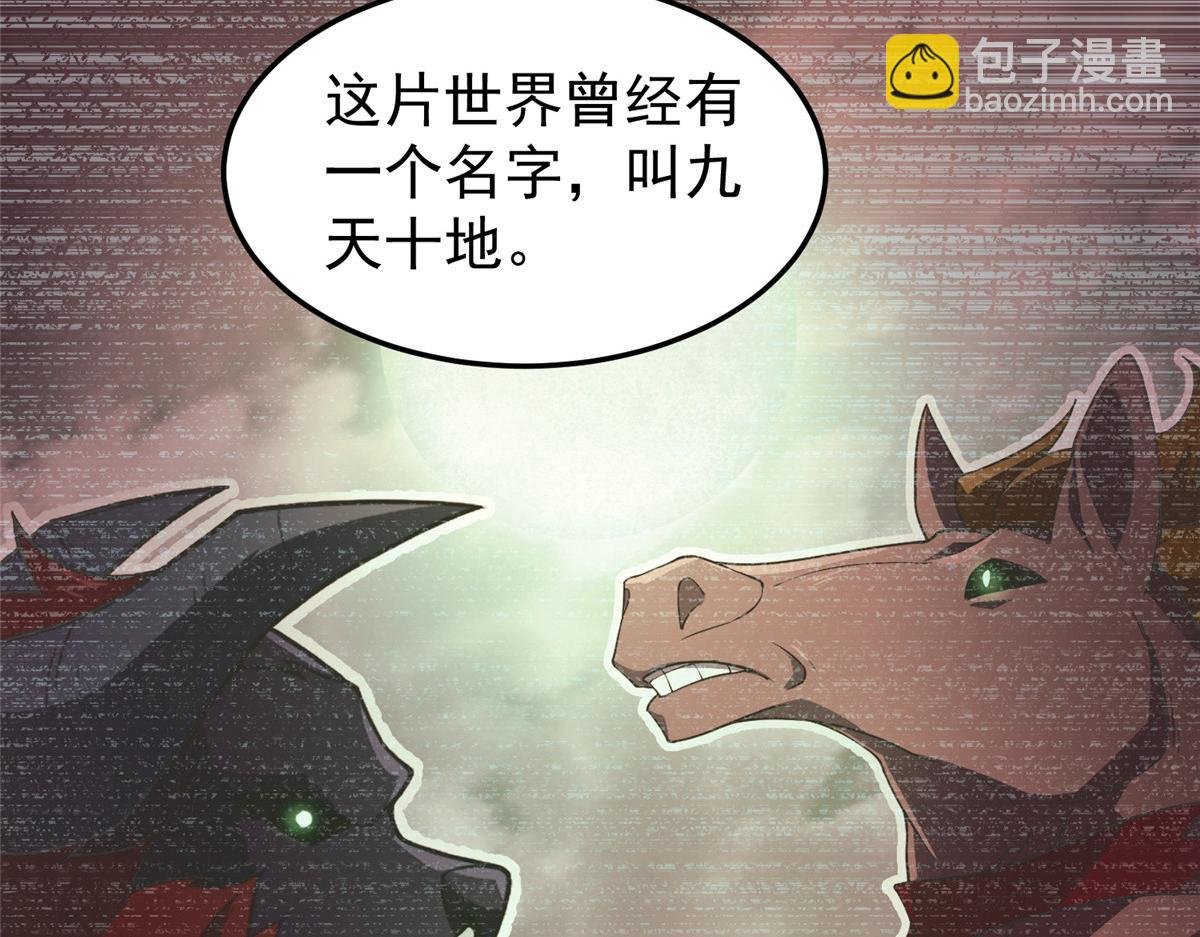 203 胖大海的宝贝