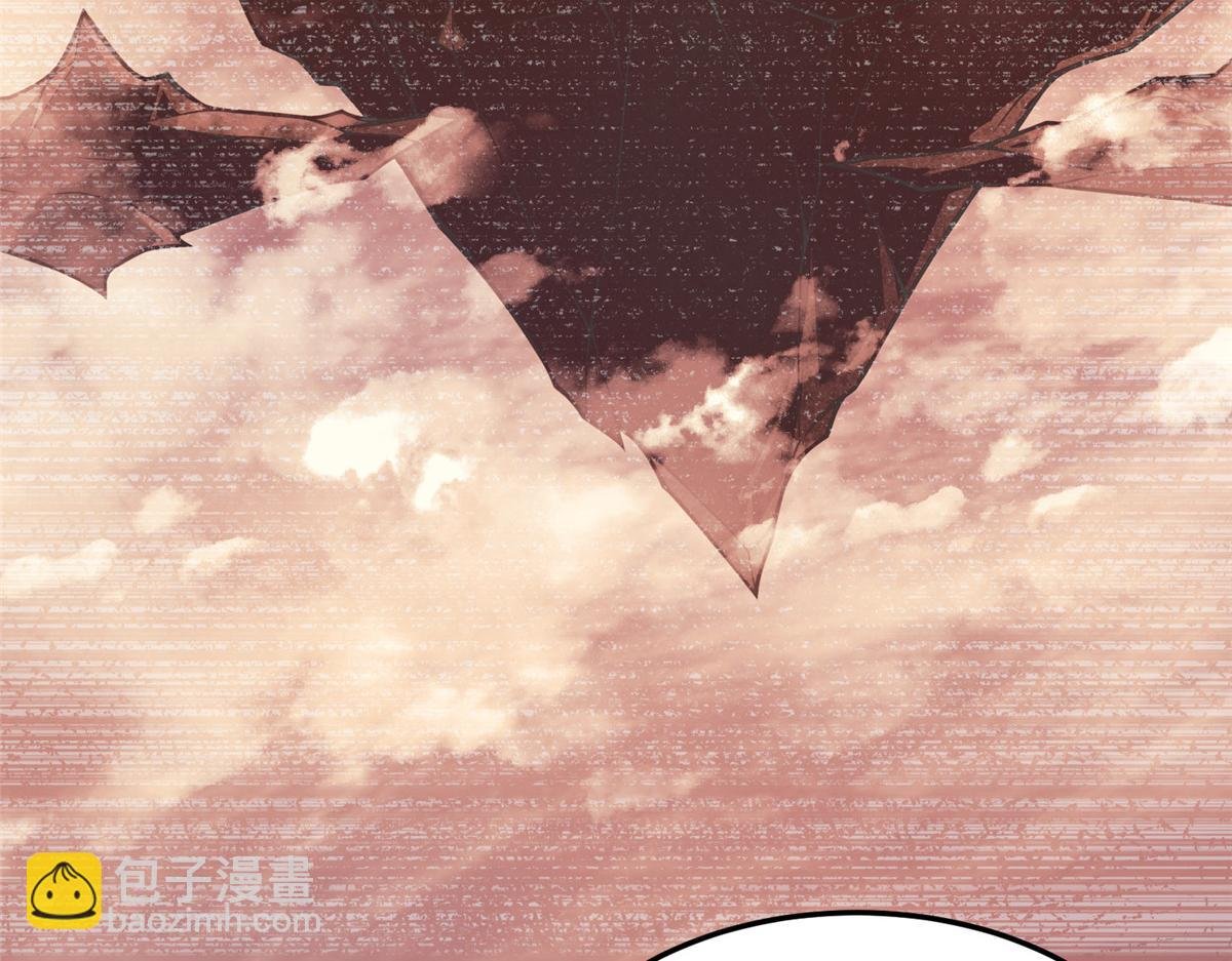 203 胖大海的宝贝