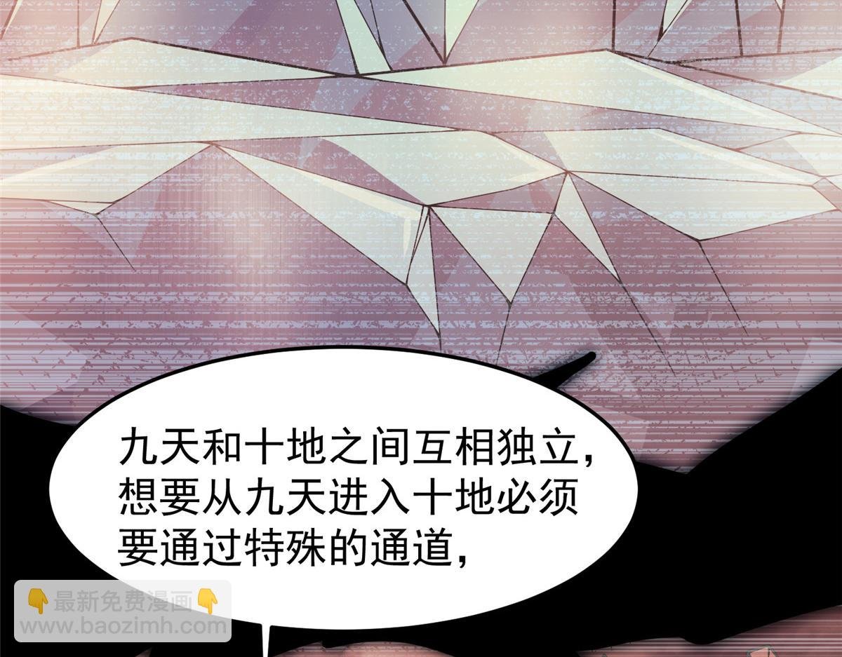 203 胖大海的宝贝