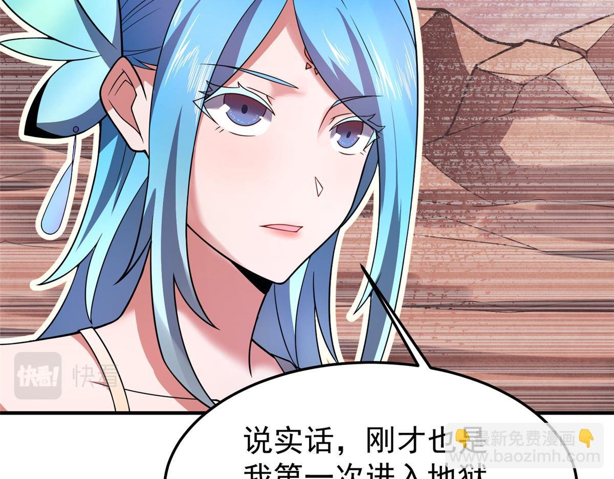 203 胖大海的宝贝