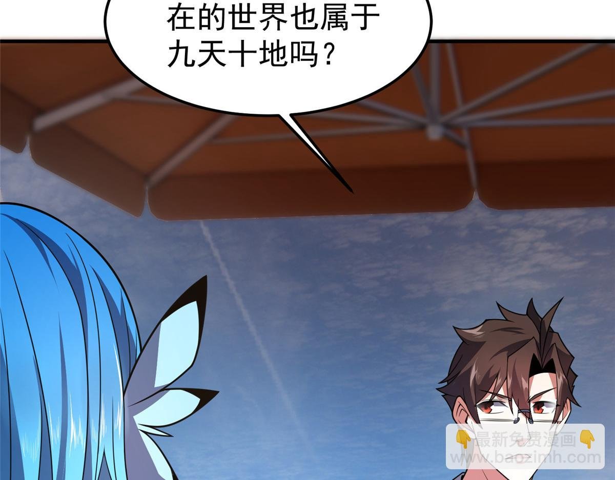203 胖大海的宝贝