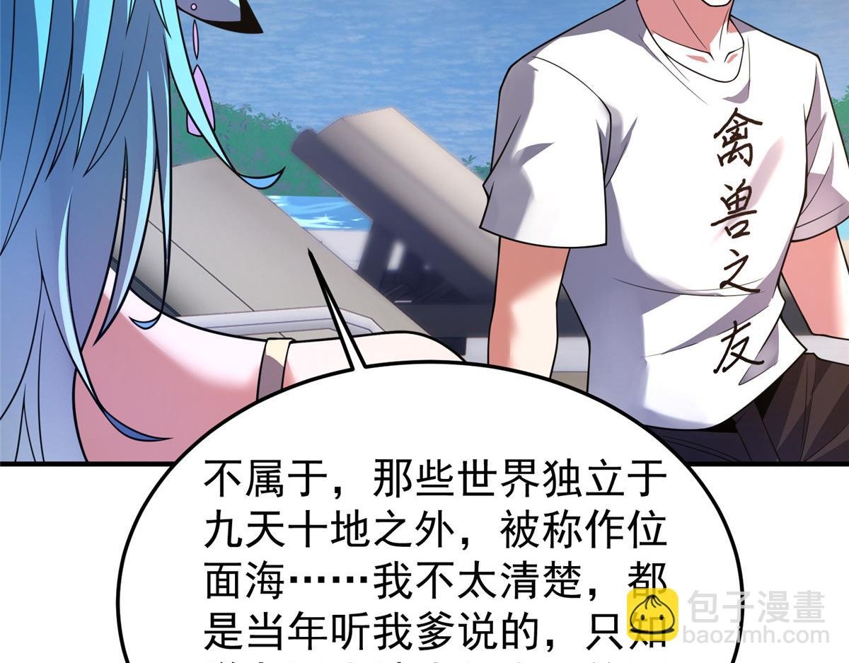 203 胖大海的宝贝