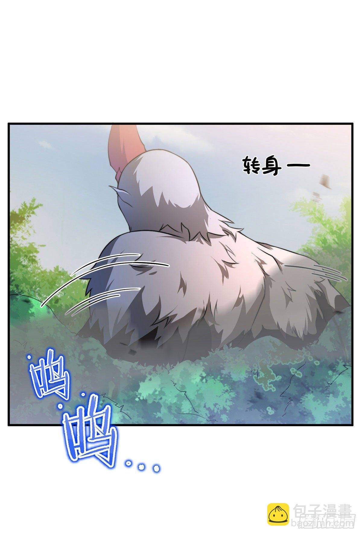 019 母蛛