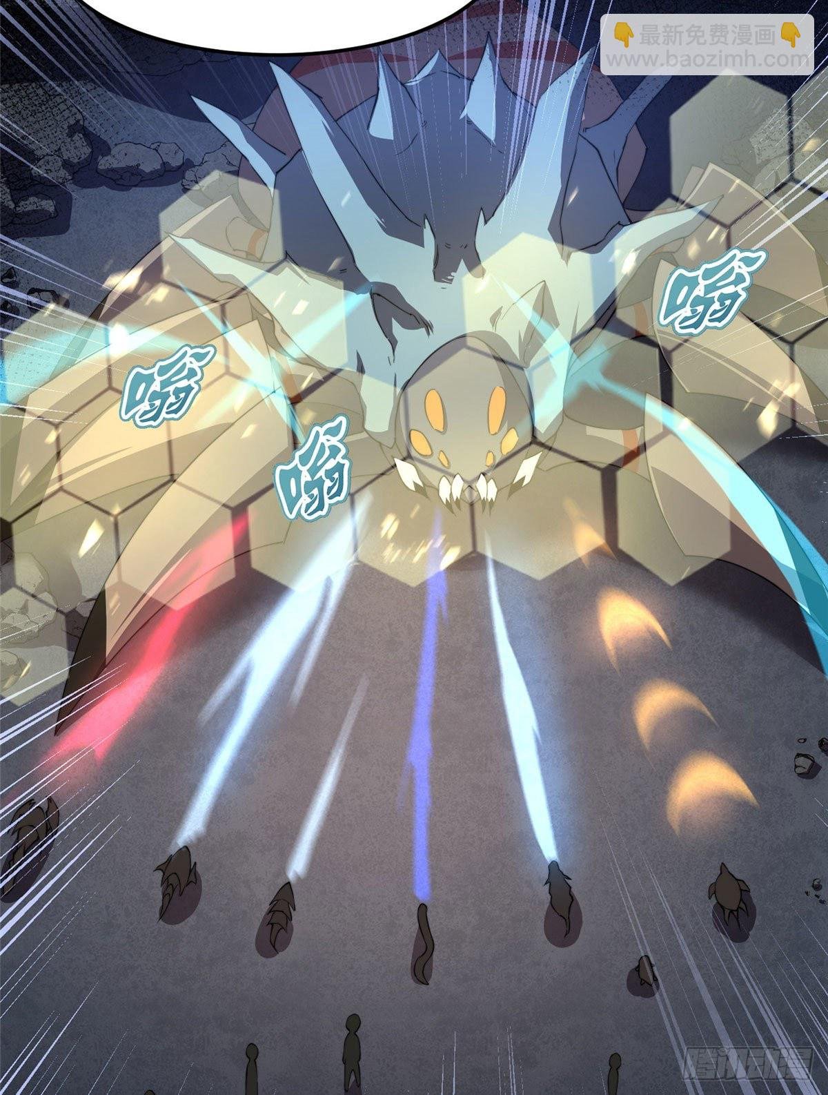019 母蛛