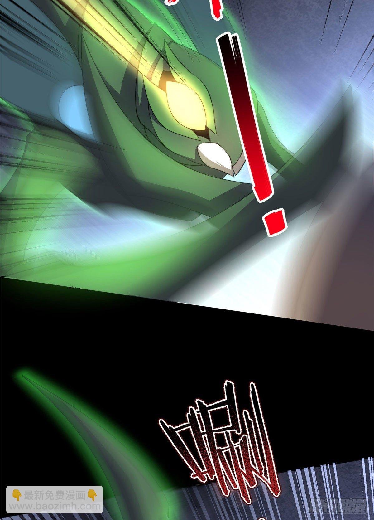 019 母蛛